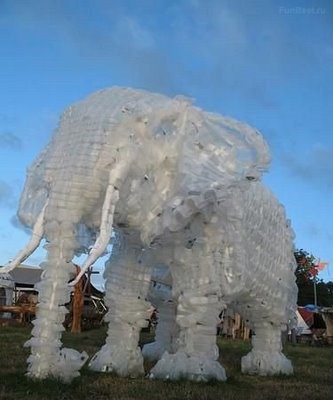 Saturday Meditations